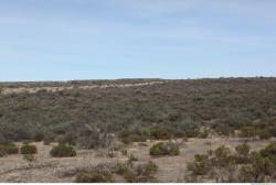 Photo Textures of Background Nature Africa